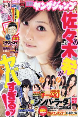 新龙门客栈演员表